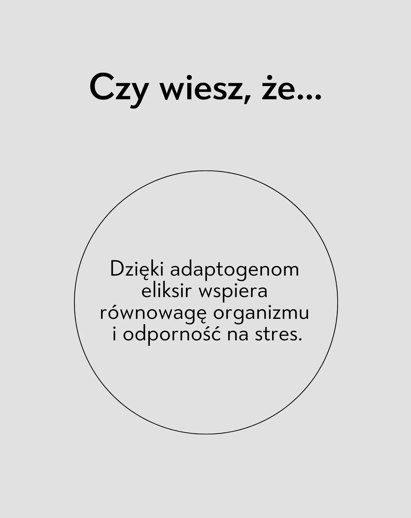 Zdjęcie produktu 3