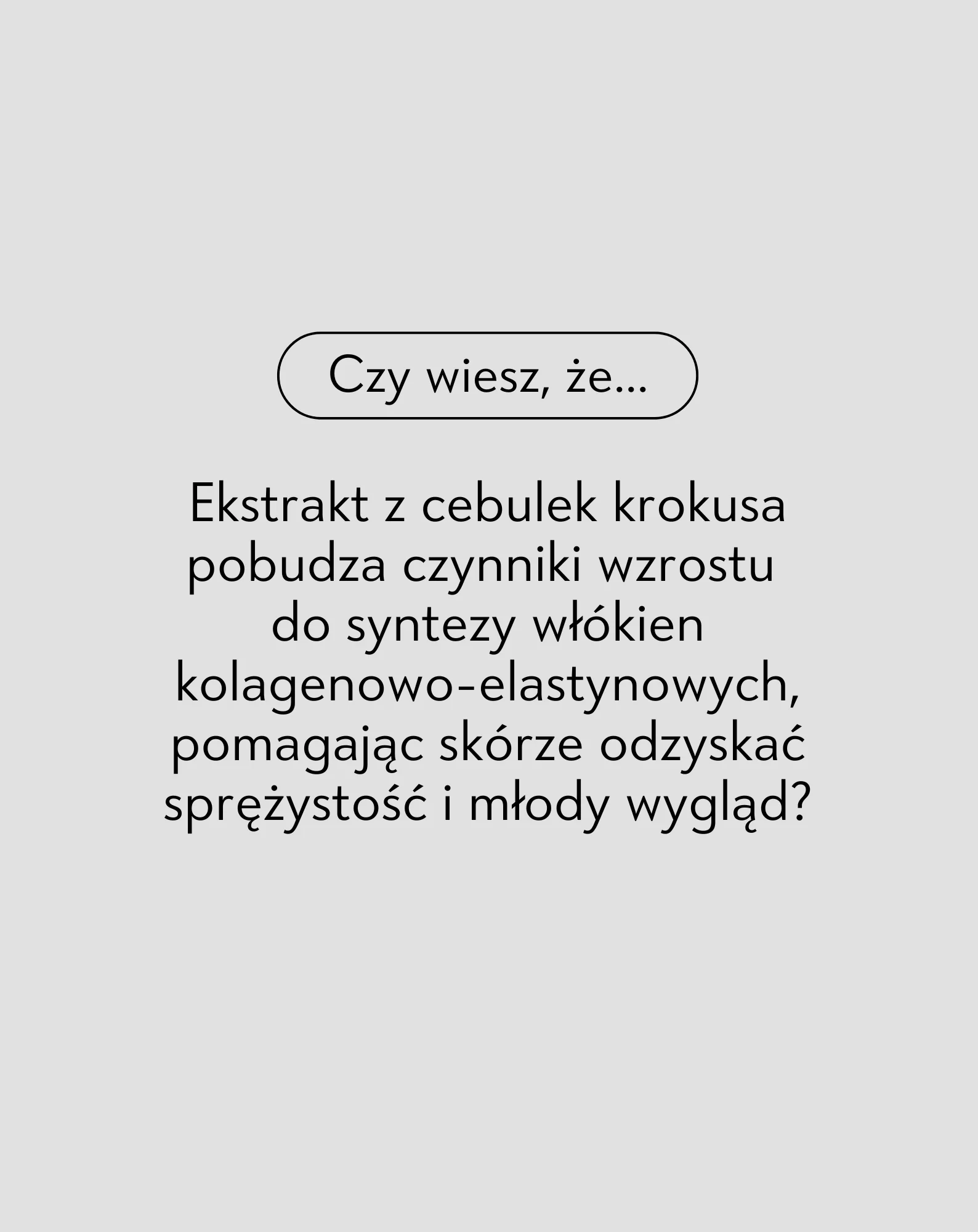 Zdjęcie produktu 3