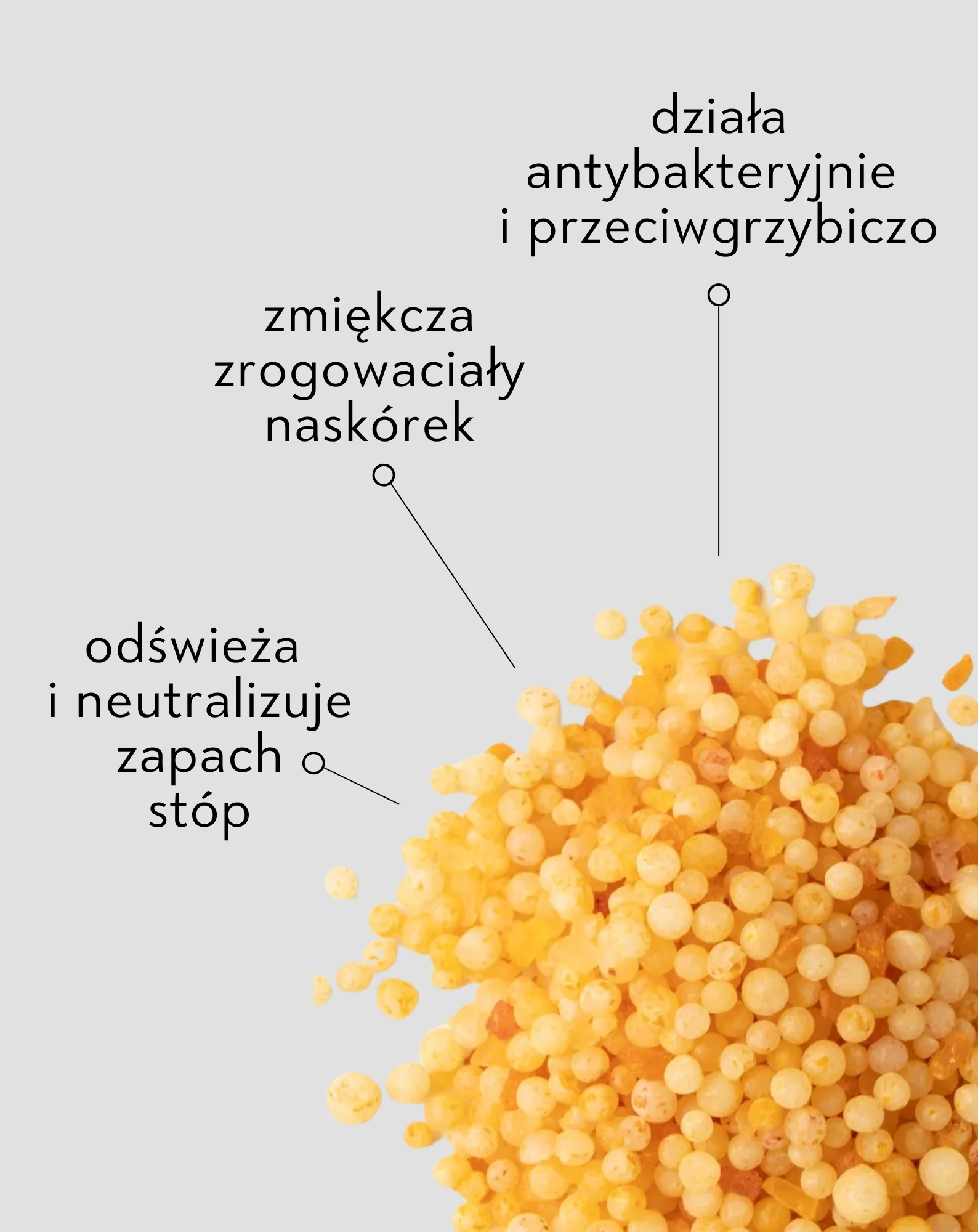 Zdjęcie produktu 2